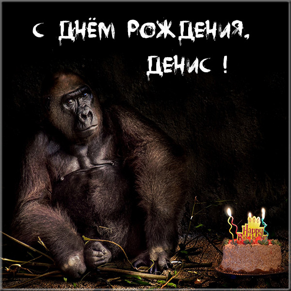 Поздравления С Днем Рождения Денису Прикольные Картинки