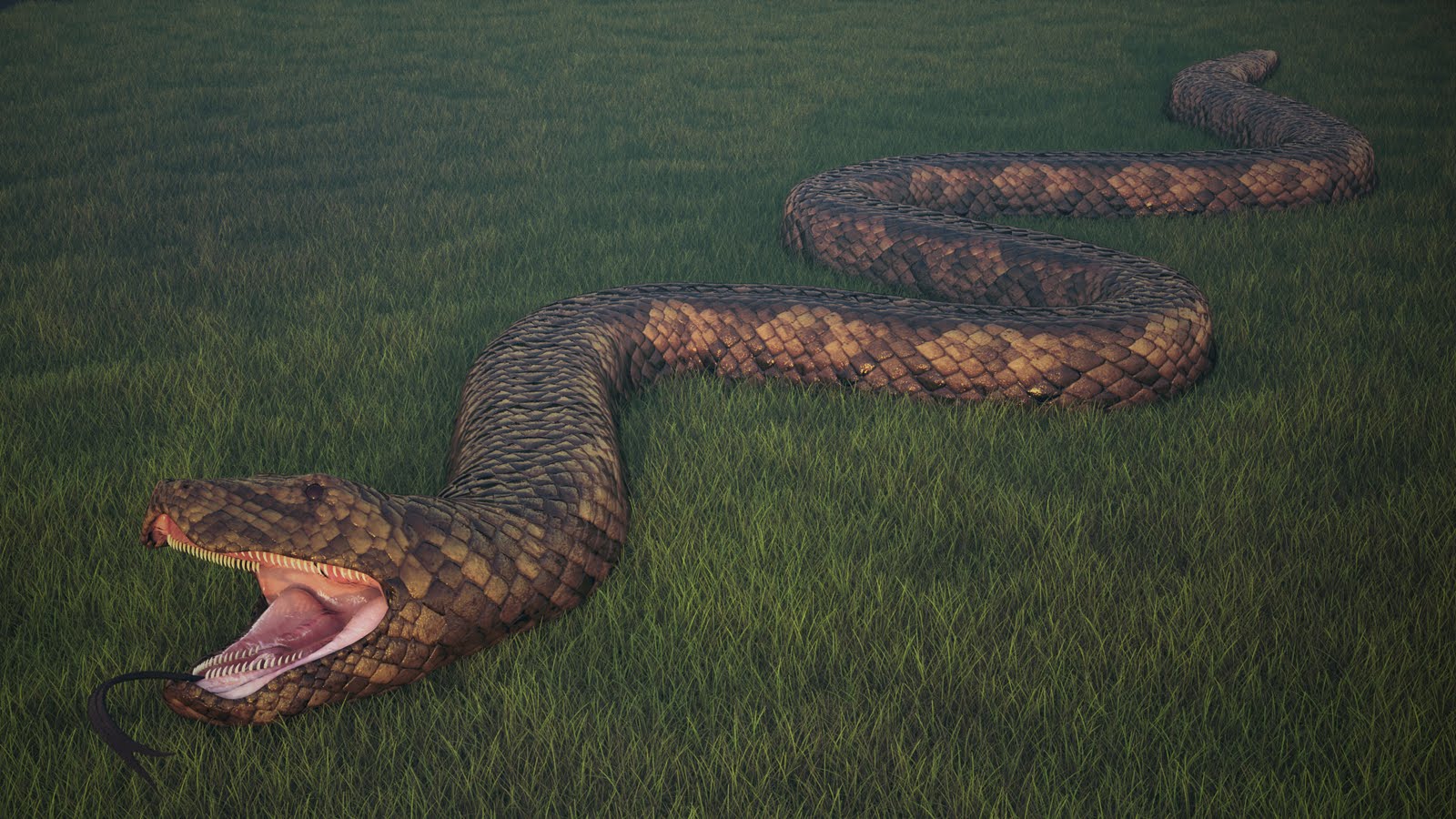 Thick snake