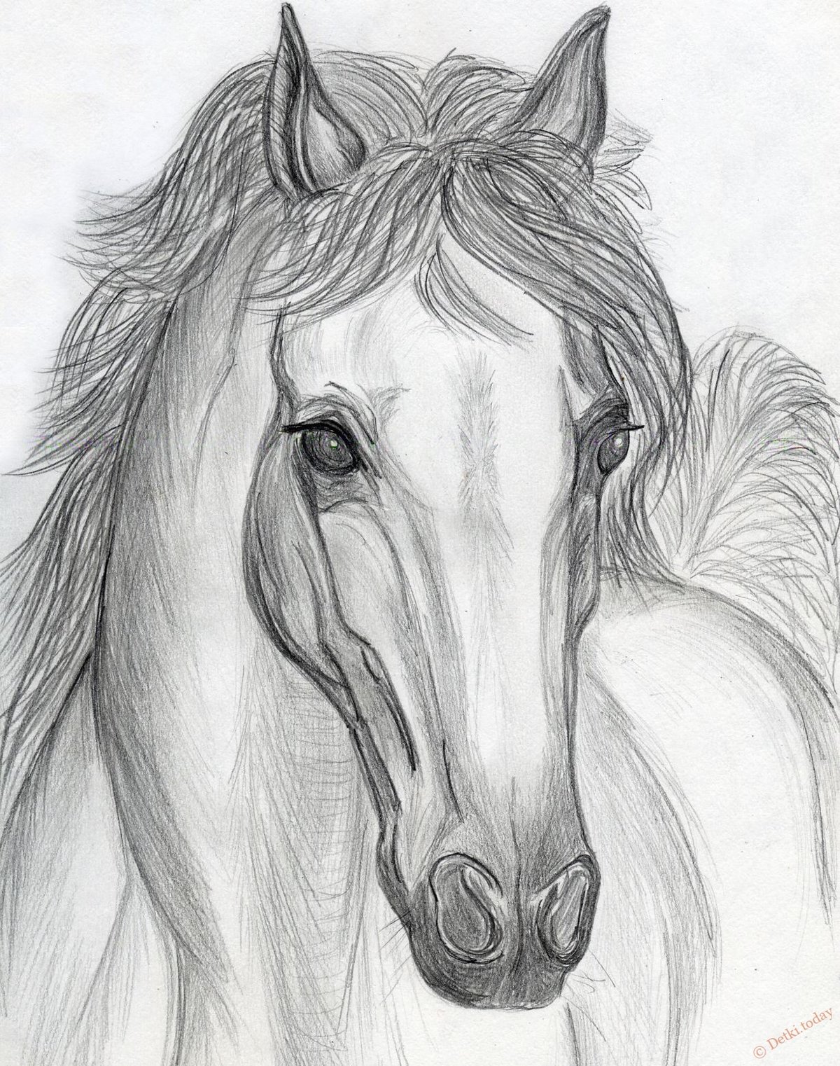 Красивые рисунки лошадей