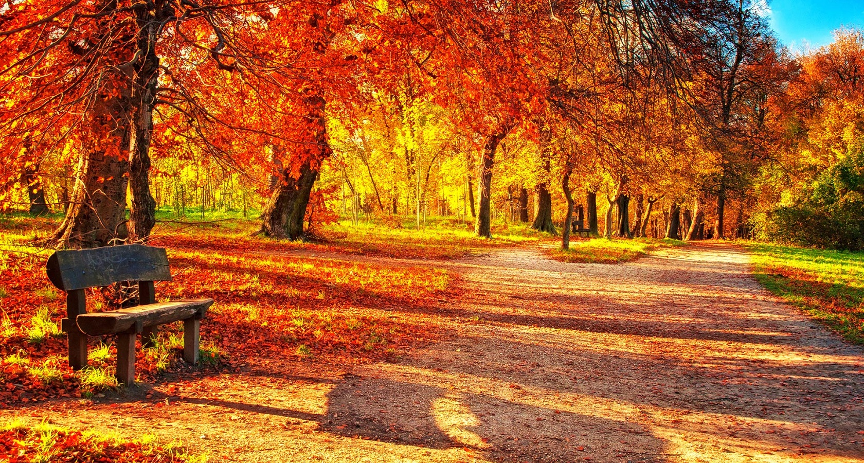 Луизеания фото осенью