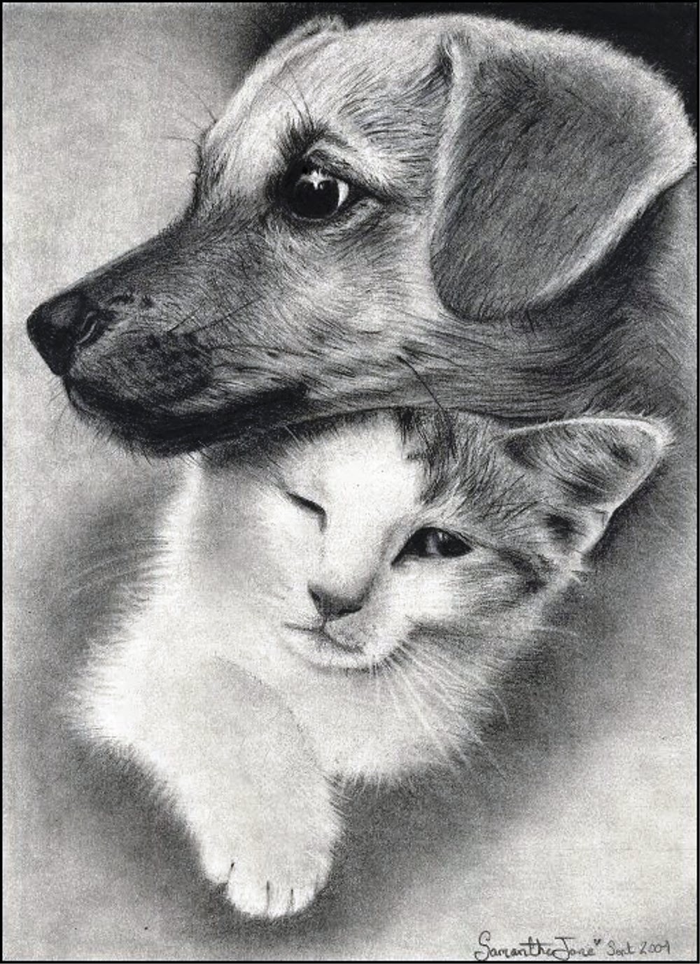 Картинки простых животных. Животные карандашом. Красивые рисунки. Рисунки карандашом животные. Красивые рисунки карандашом.