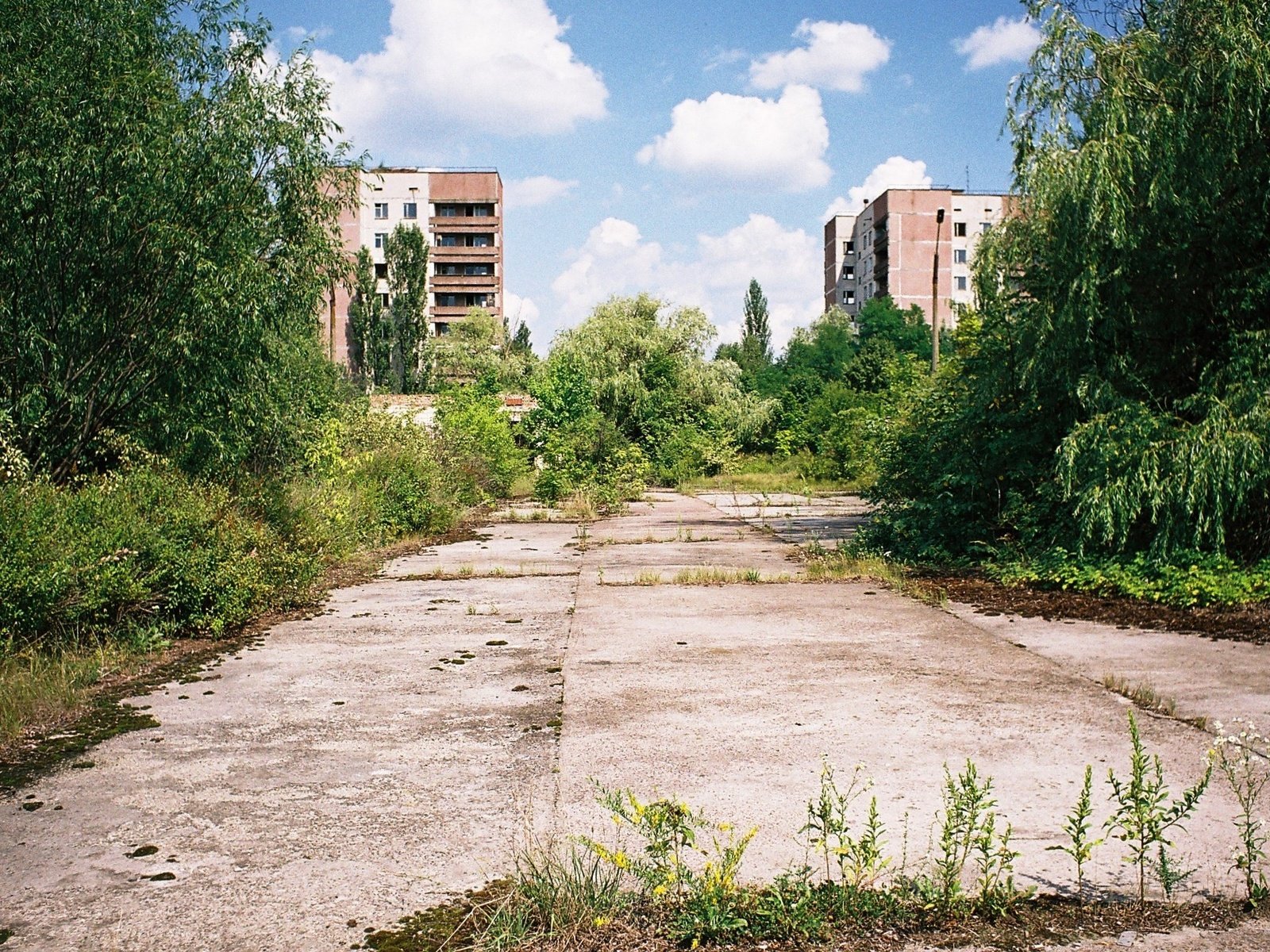 Припять мертвый город фото