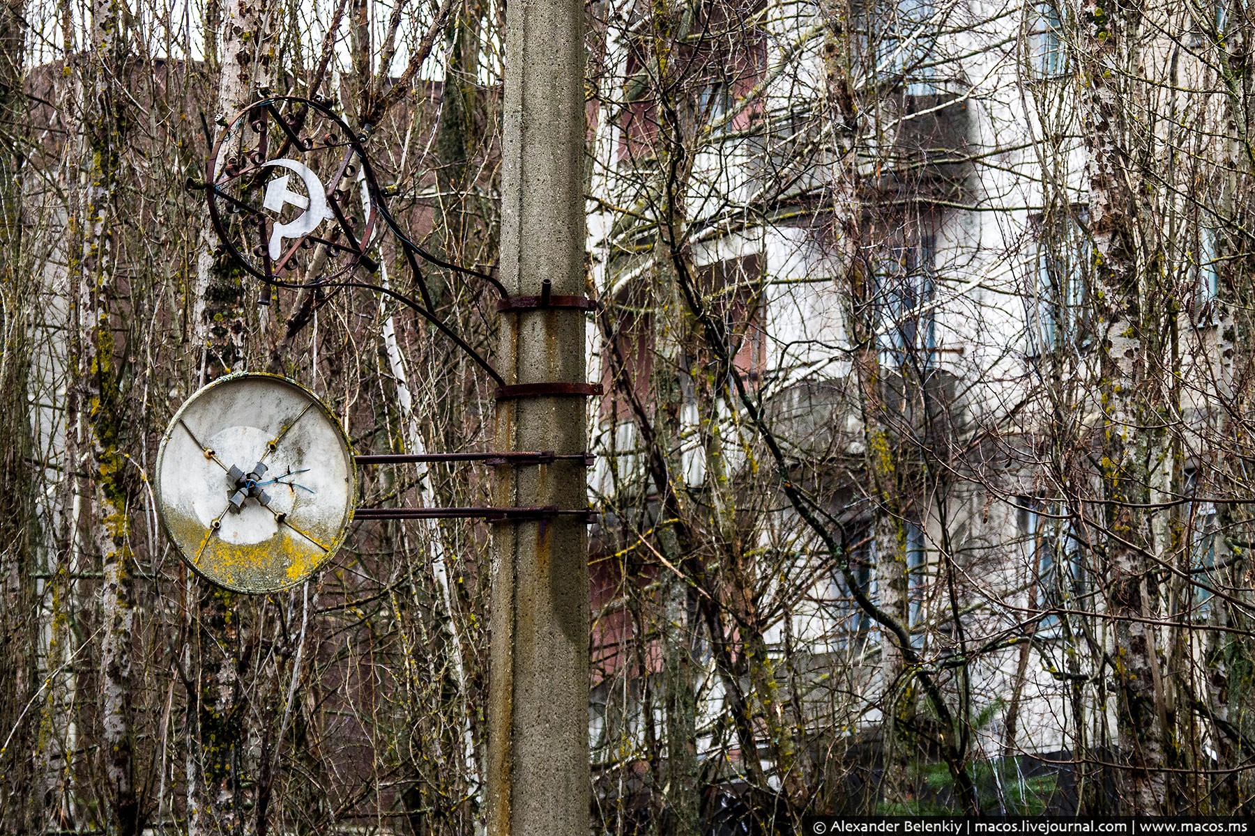 Фото радиации чернобыль