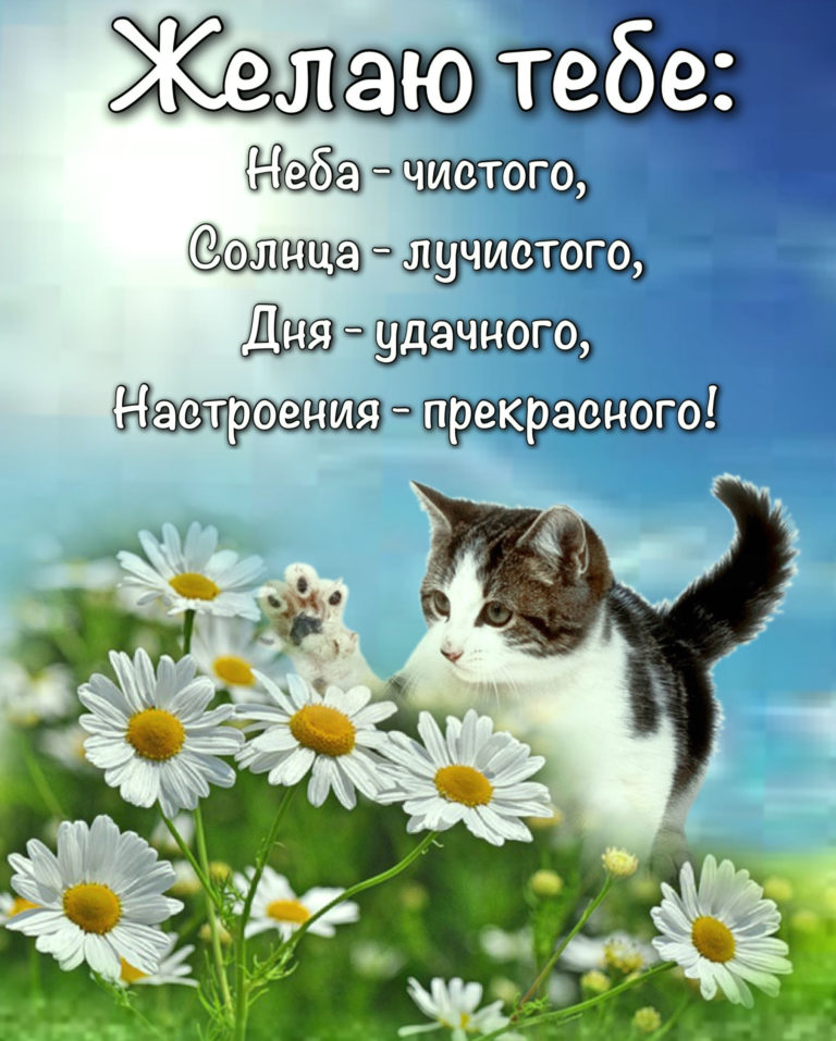Эмоциями смайлы, открытки с пожеланиями всего доброго хорошего