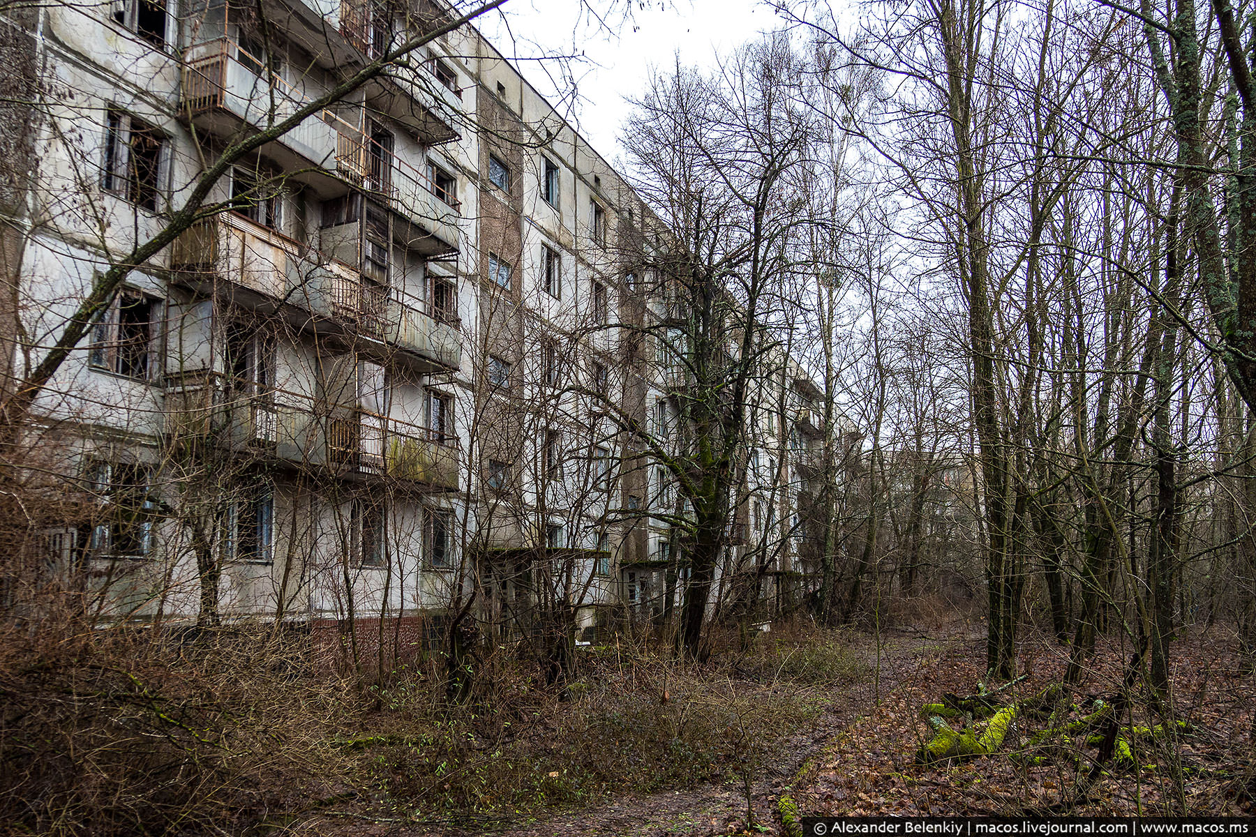 Припять сколько погибло. Чернобыль город Припять. Чернобыль город и город Припять.