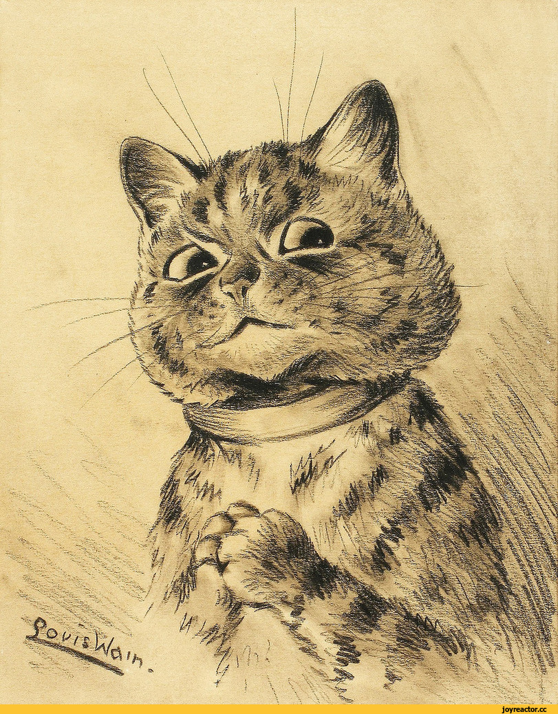 Кот выглядывает из кармана рисунок
