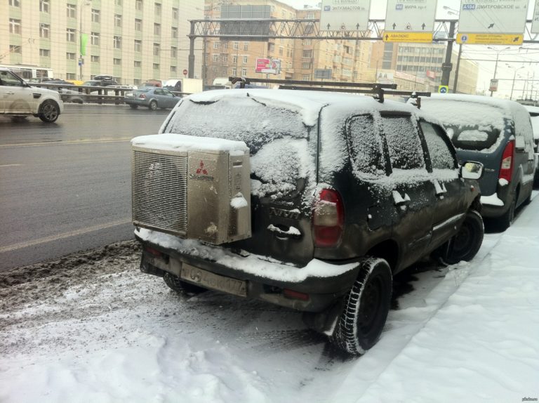 Жучки на кузове автомобиля