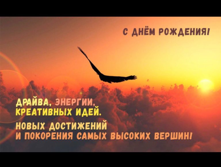 Милые еноты (40 фото) ⚡ Фаник.ру