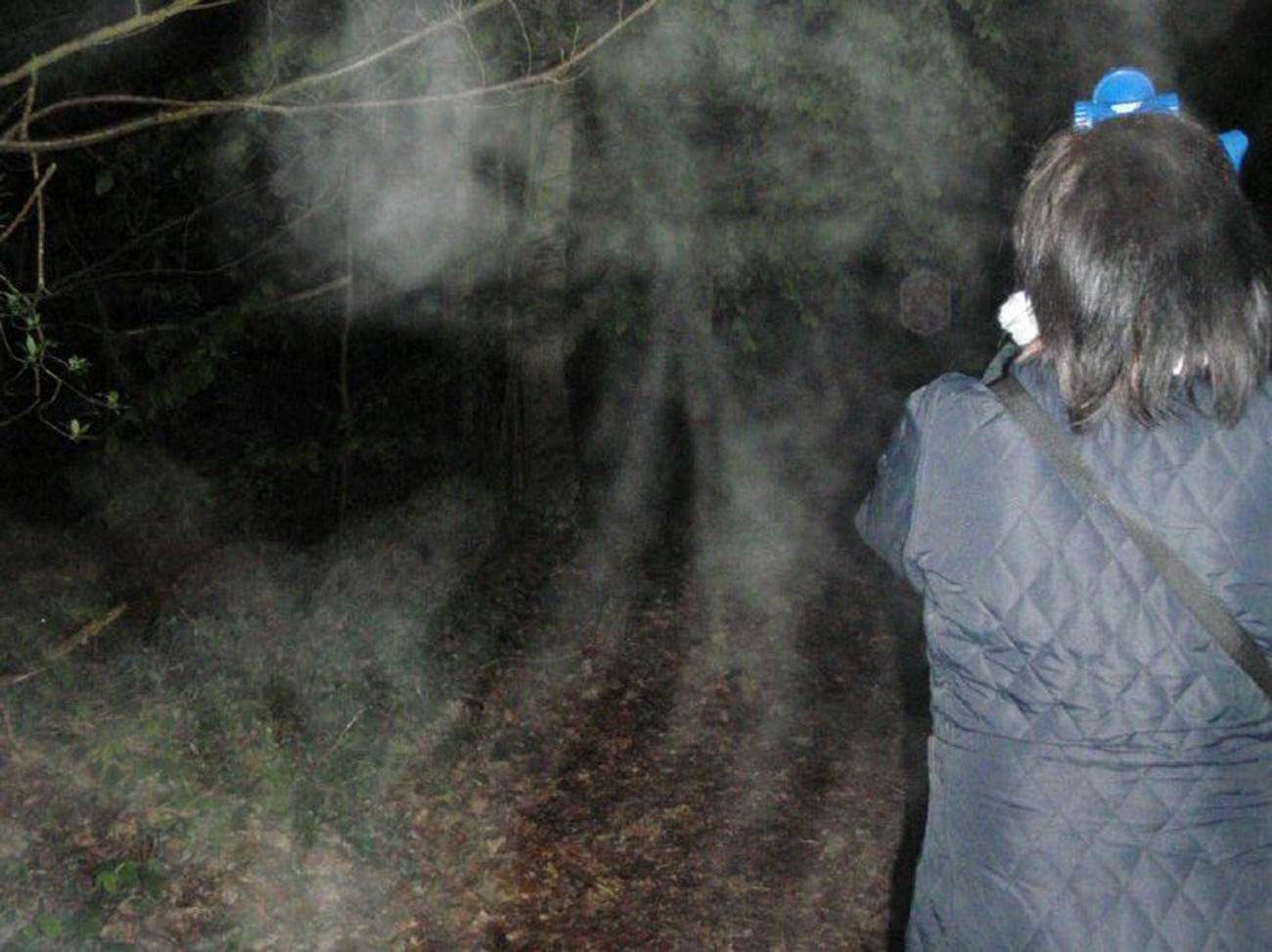 Лес кричащих призраков в Англии призраки