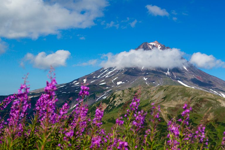 Гора морозная камчатка фото