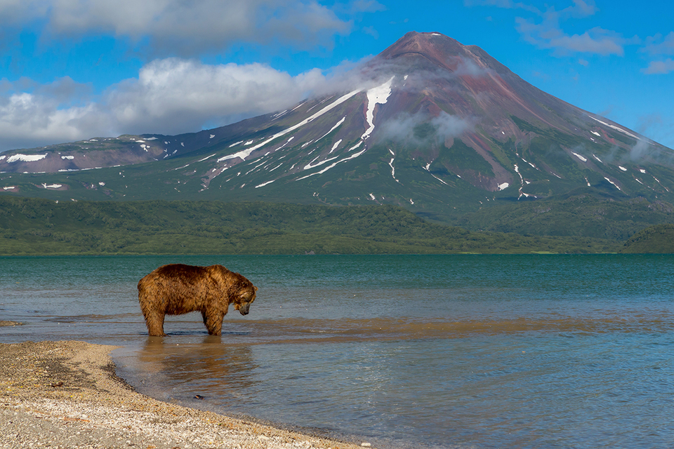 Камчатка в мае фото