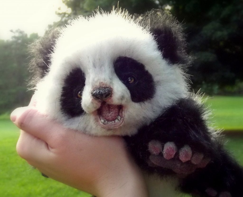 Самая милая Панда в мире