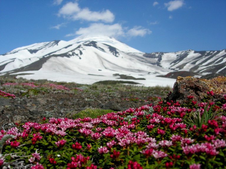 Камчатка в августе фото