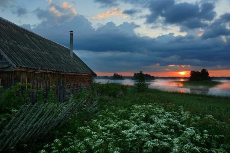 Деревенский пейзаж фото летом