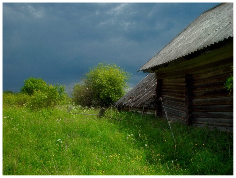 Фото дом на лугу