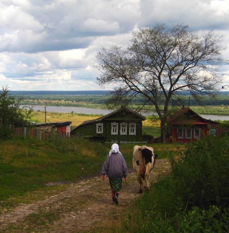 Деревенская баба фото 18