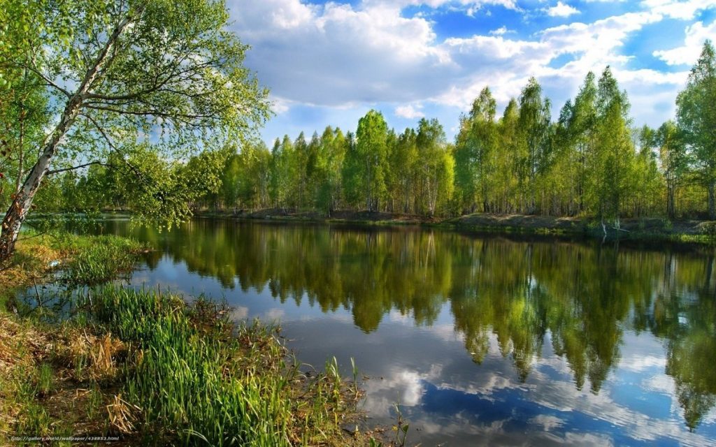 Фото нижегородской природы