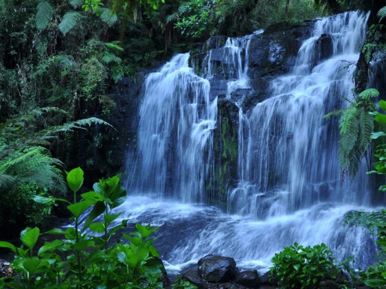 Фото красота воды