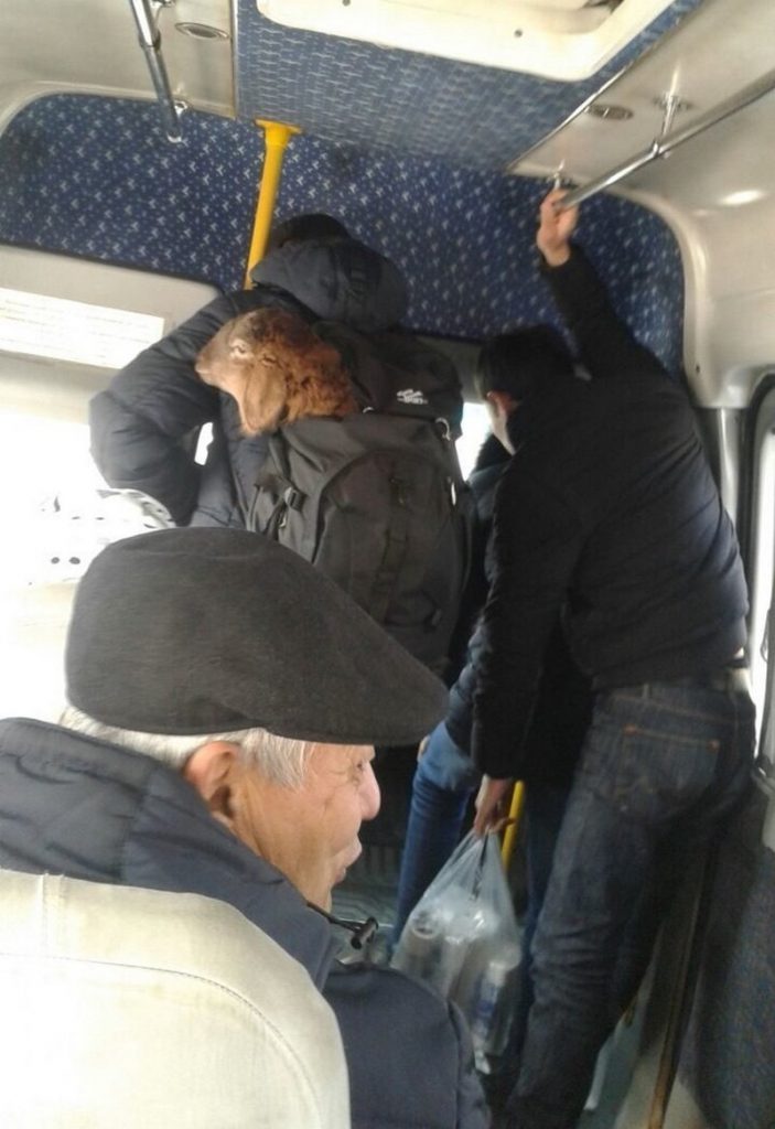 Любые красивые, люди в автобусе приколы картинки