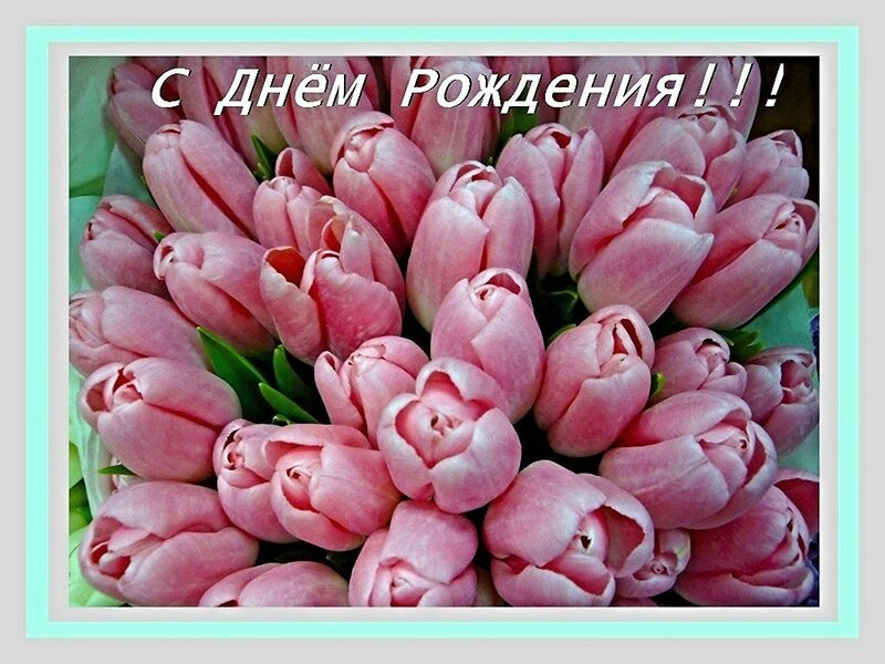 С днем рождения картинки с тюльпанами и пожеланиями