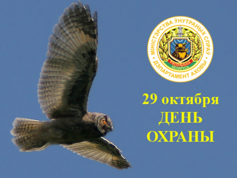 День охраны. С днем охраны. С днем охраны МВД. Открытка с днем охраны. С днем вневедомственной охраны открытки.