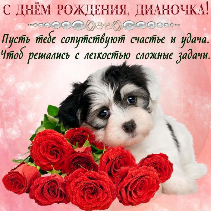 поздравление в стихах с днем рождения про животных шоу