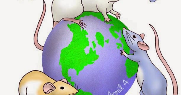 Всемирный день крысы 4 апреля картинки. День крысы. 4 Апреля день крысы. Международный день крысы. День крысы праздник.