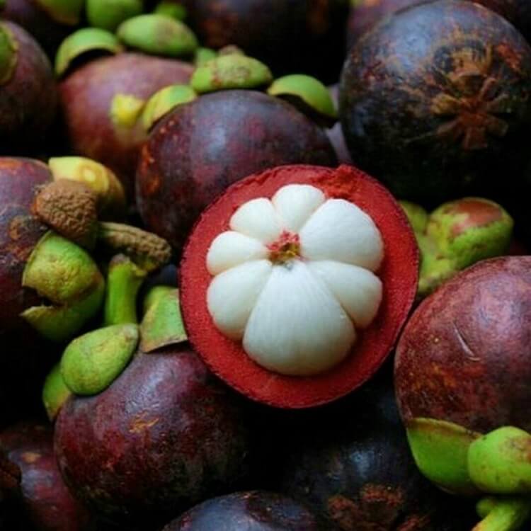Самые вкусные экзотические фрукты фото с названиями