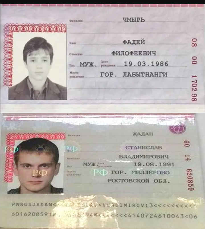 Снегири фото на паспорт