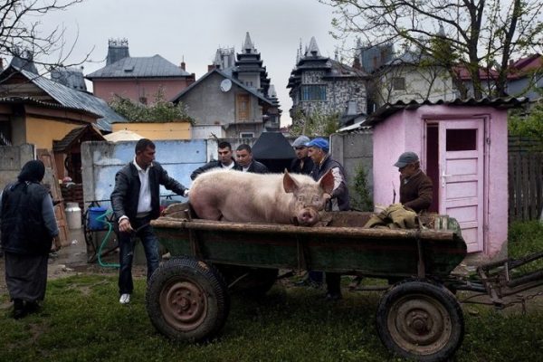 Цыганский барон фото прикол