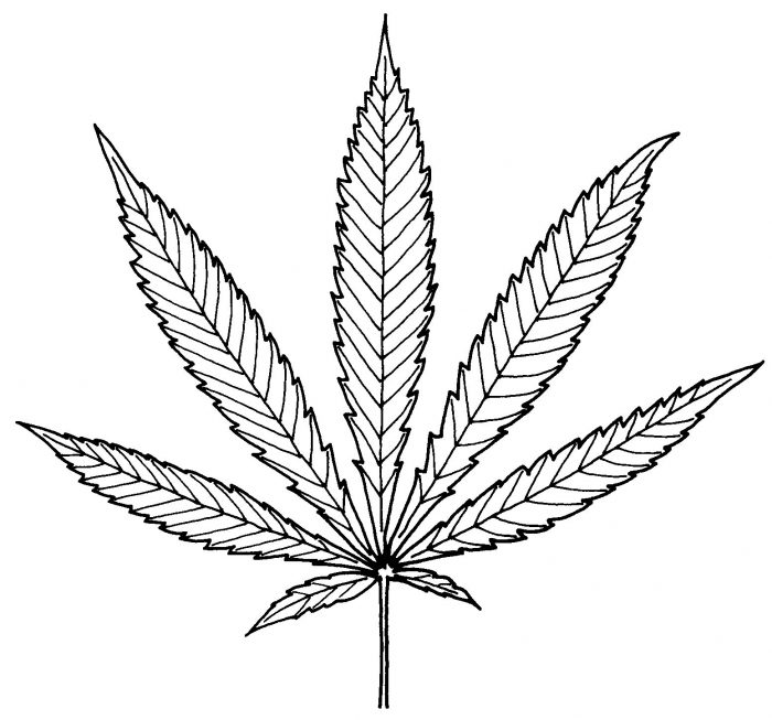 Татуировки с изображением конопли марихуана паровозик