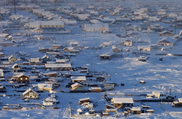 Малеваник якутск фото