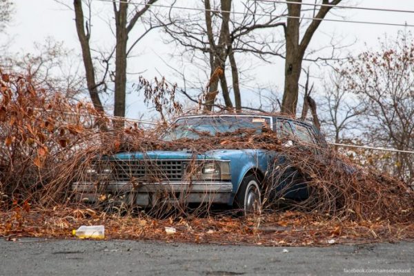 Заброшенные автомобили в подмосковье