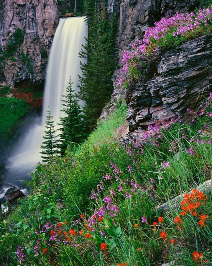 Формат вертикального фото. Товансон водопад. Плеседские водопады. Водопад в горах. Пейзаж водопад.
