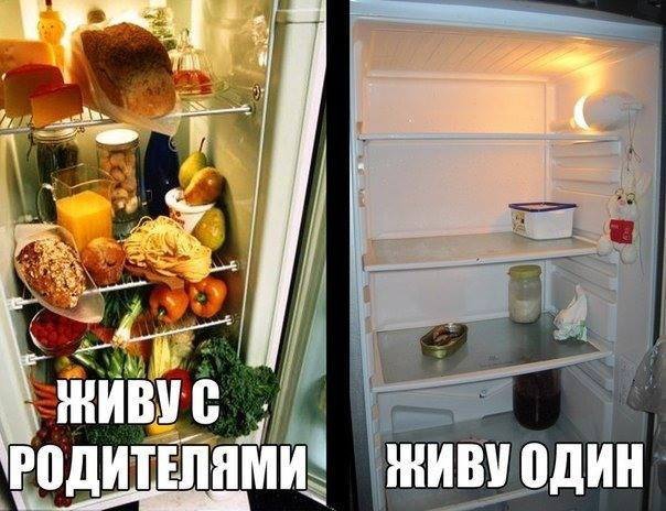 Смешные картинки про холодильник