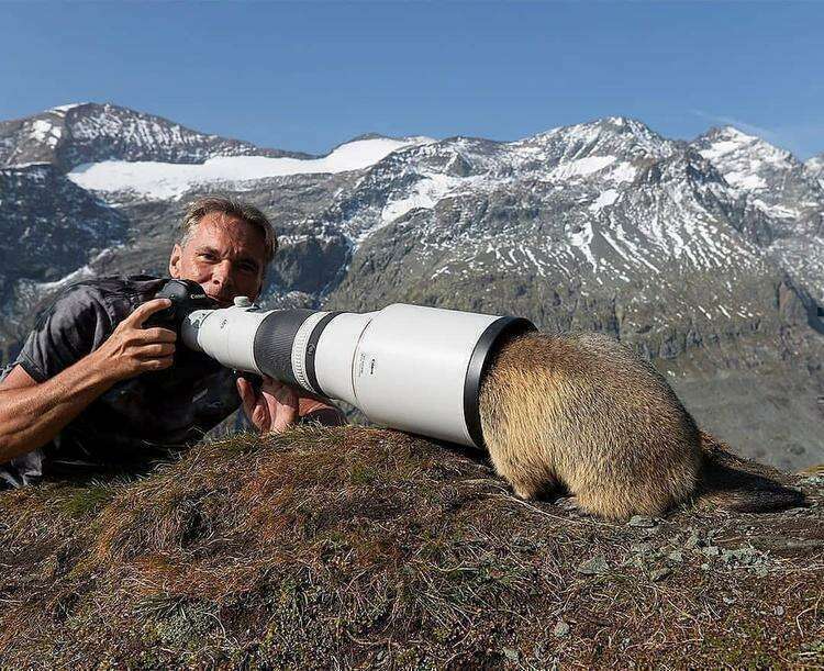 Смешные картинки про фотографов