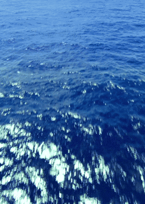 Гифки море